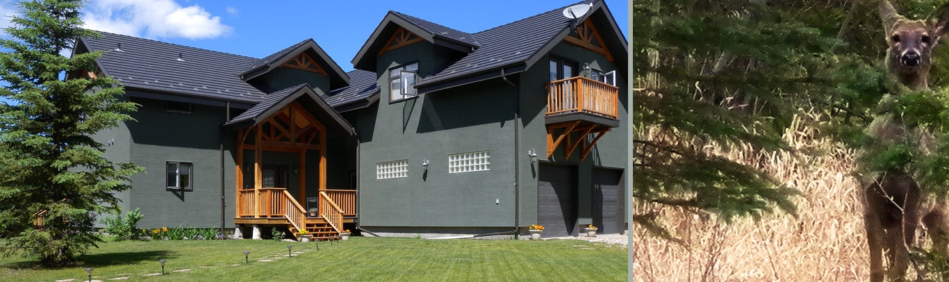 Timber Green Bed & Breakfast · Enjoy Alberta's beauty at Rocky Mountain House
